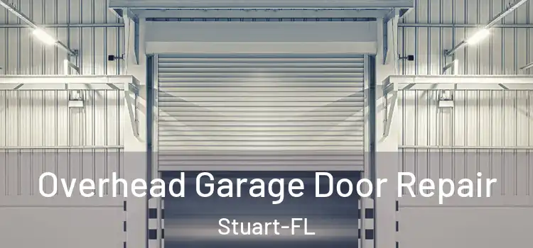  Overhead Garage Door Repair Stuart-FL